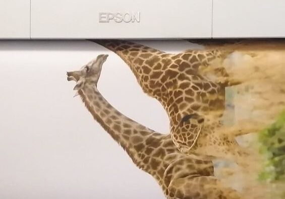 124395314_738411607020804_3748310863864540802_n